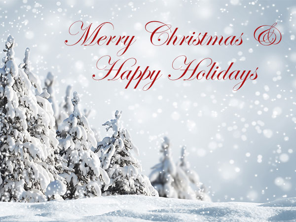 Season's Greetings From Euroglaze Season's Greetings From Euroglaze