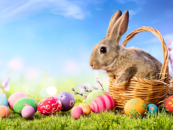 Euroglaze Easter Holiday Update